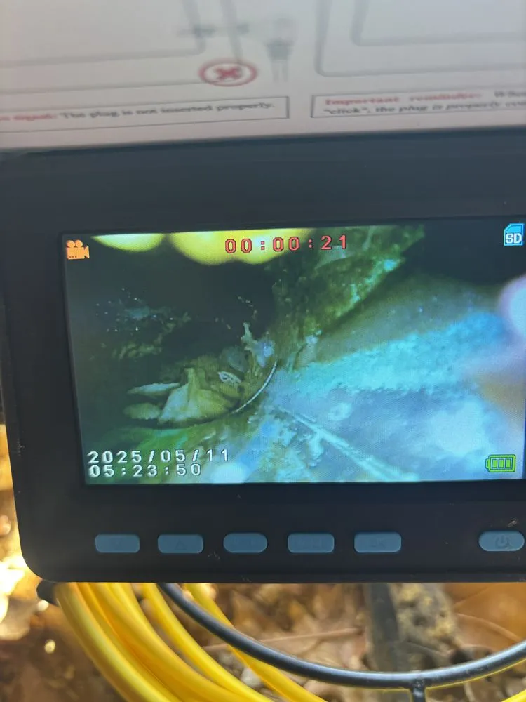 Slide of The Drain Father