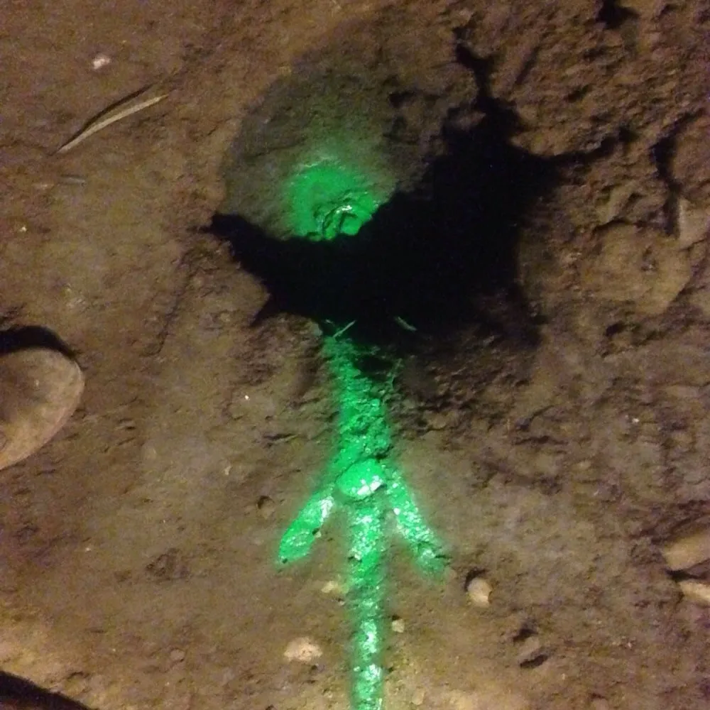 Slide of The Drain Guy