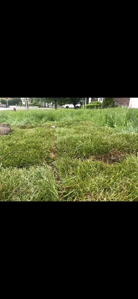 Slide of The Drain Guys