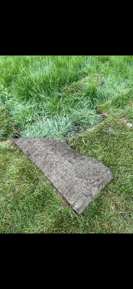 Slide of The Drain Guys