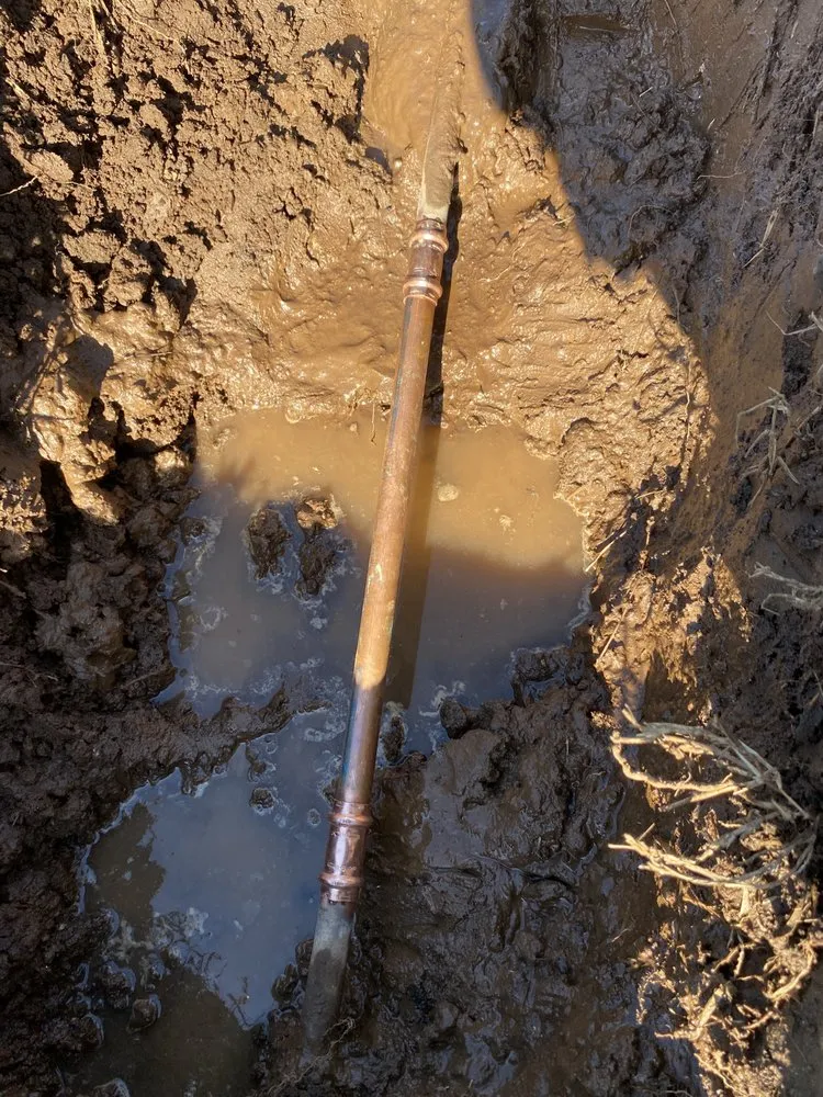 Slide of The Drain Guys