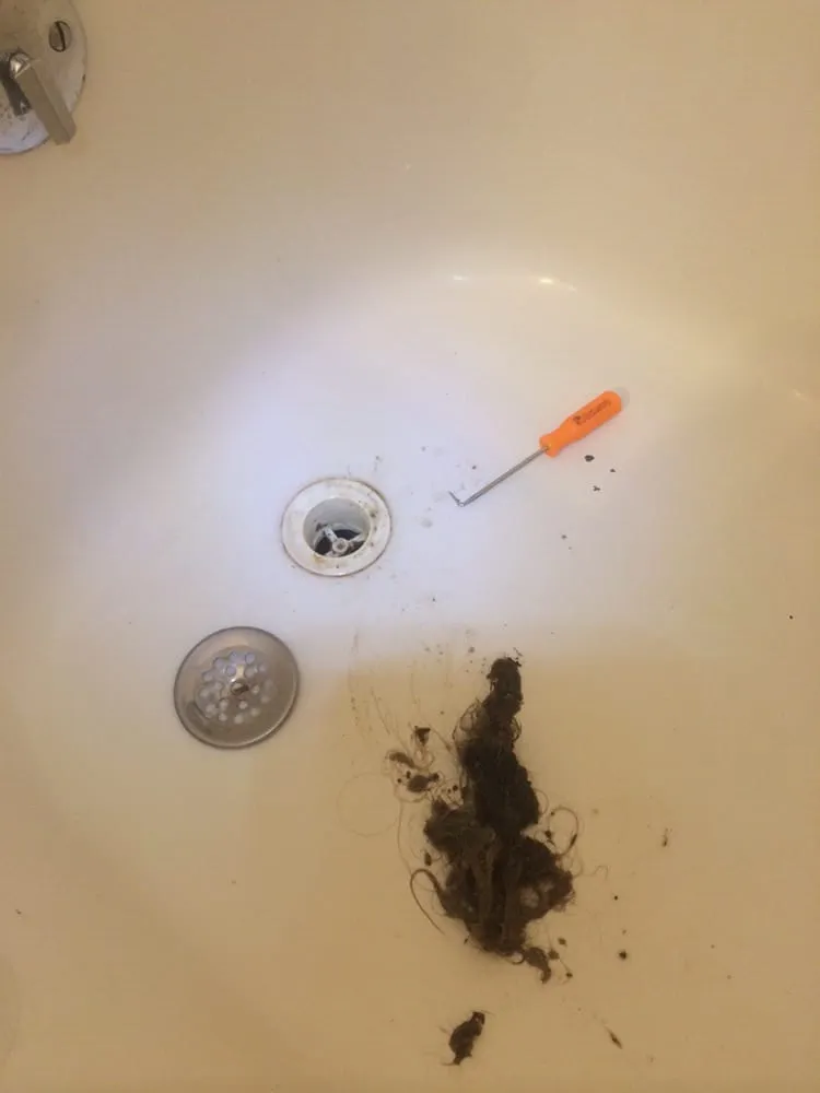 Slide of The Drain King