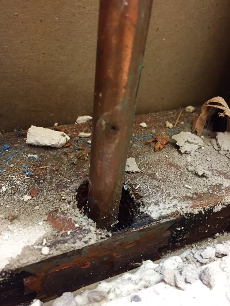 Slide of The Drain King