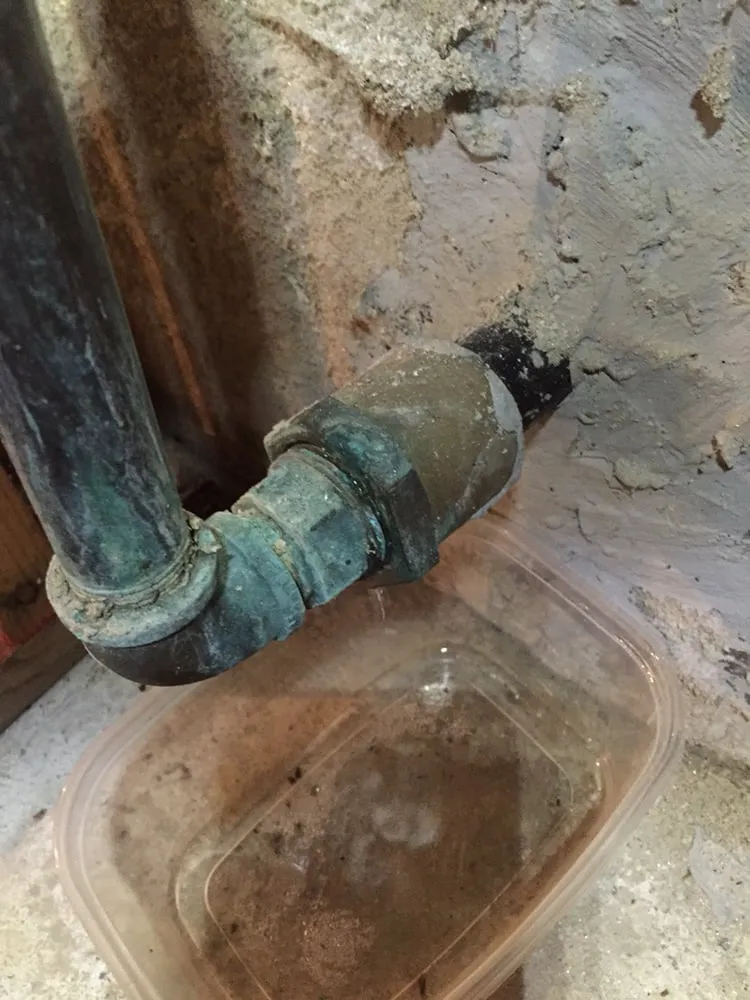 Slide of The Drain King