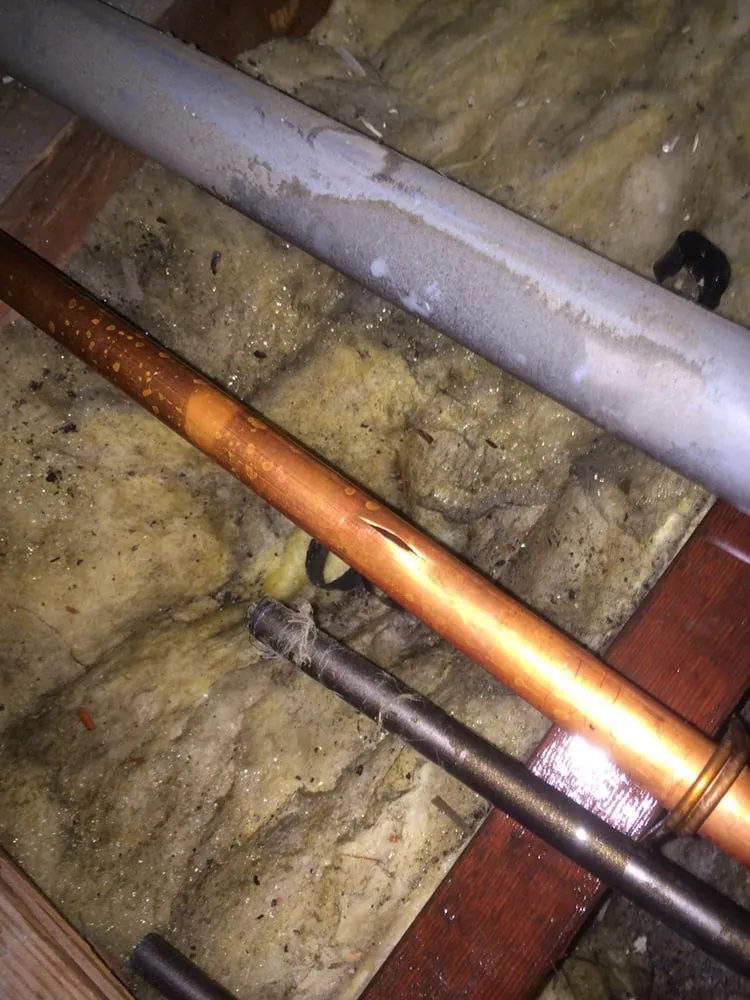 Slide of The Drain King