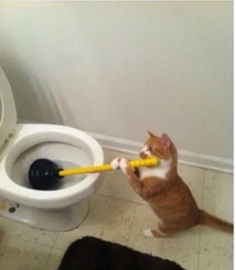 Slide of The Drain King