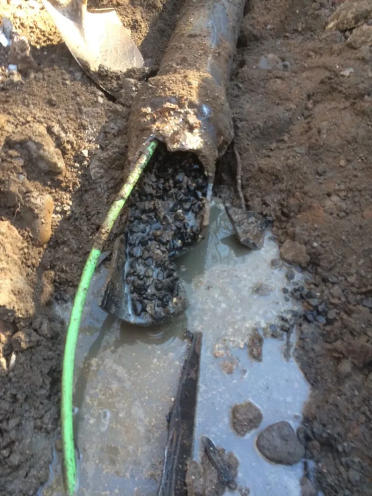 Slide of The Drain King