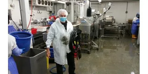 Slide of The Drain Medic