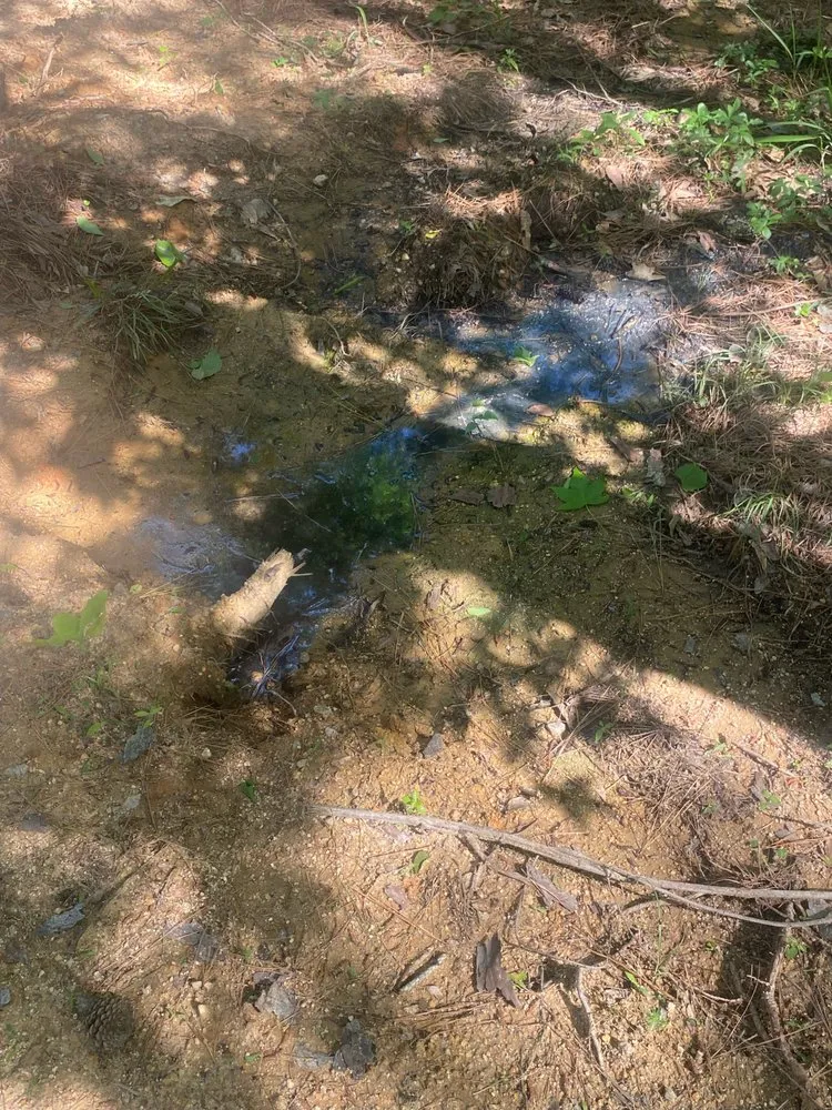 Slide of The Drain Surgeon