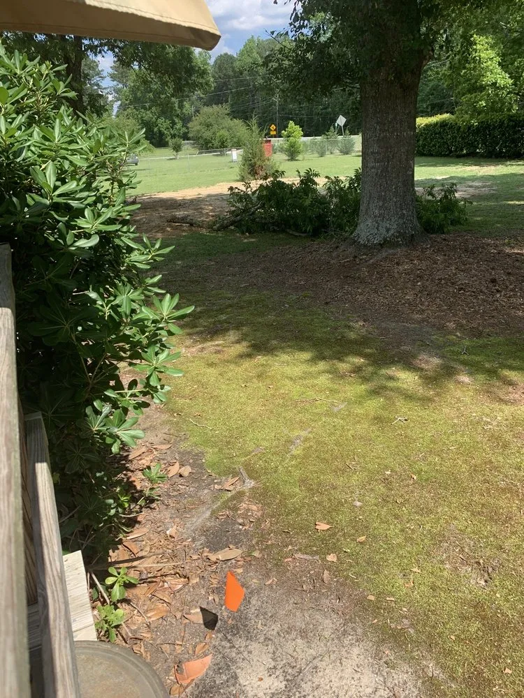 Slide of The Drain Surgeon