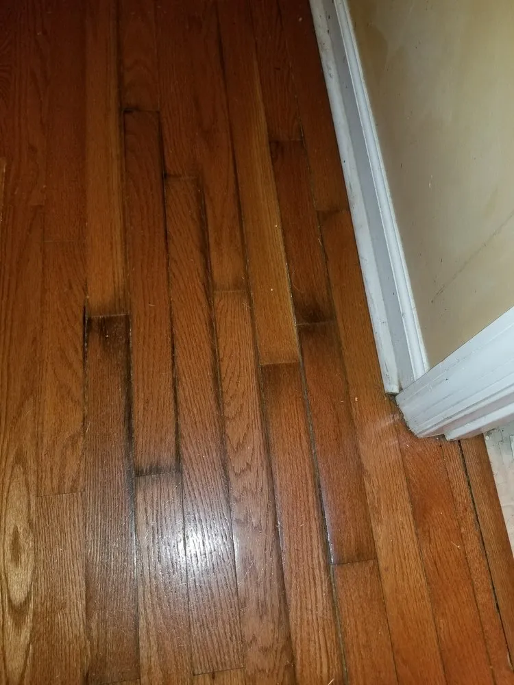 Slide of The Drain Surgeon