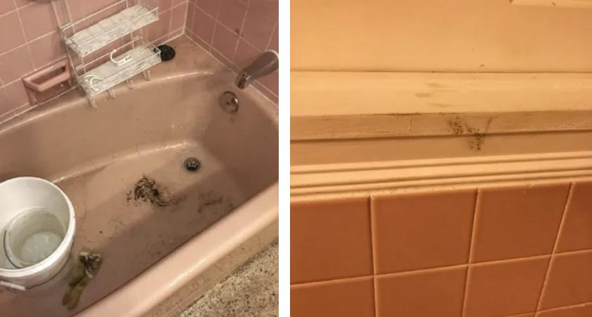 Slide of The Drain Team