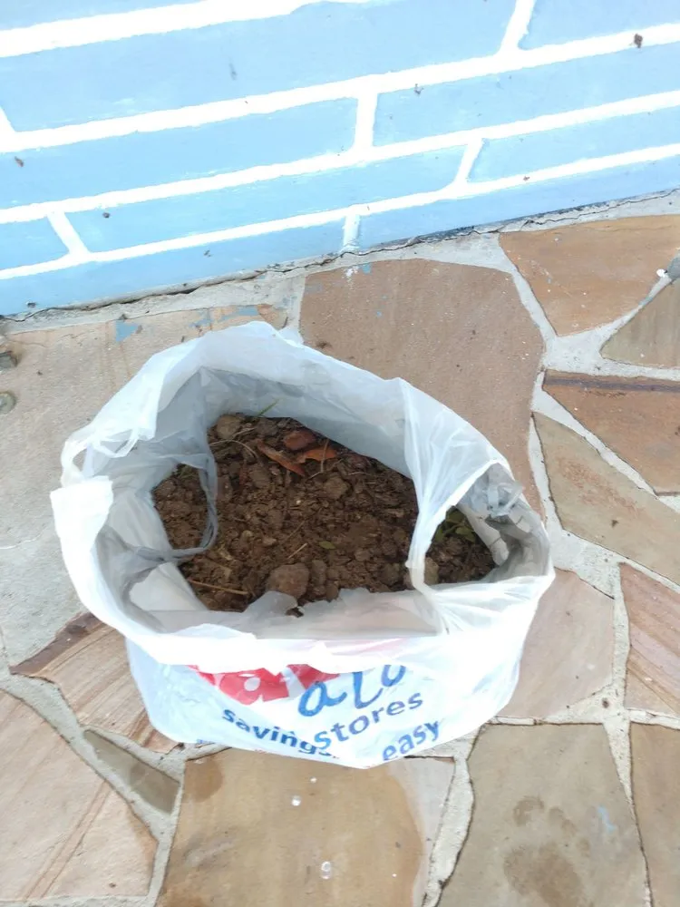 Slide of The Drain Team