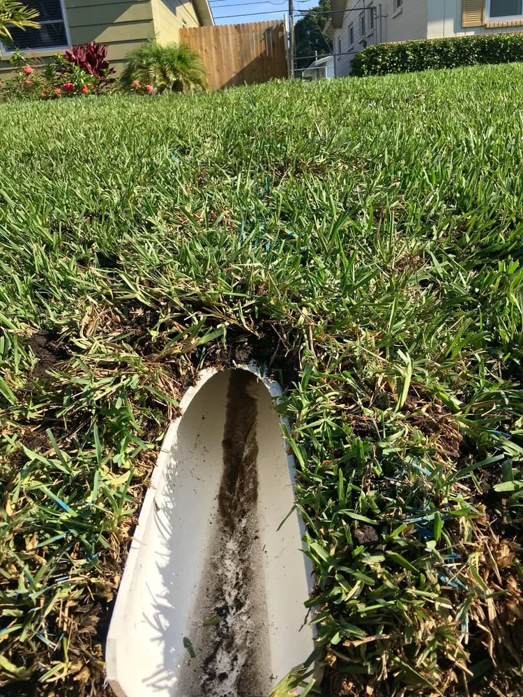 Slide of The Drain Team