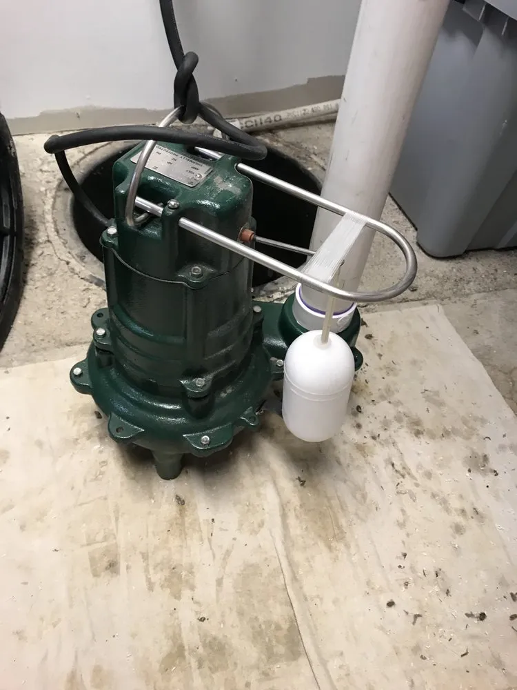 Slide of The Fair Plumber