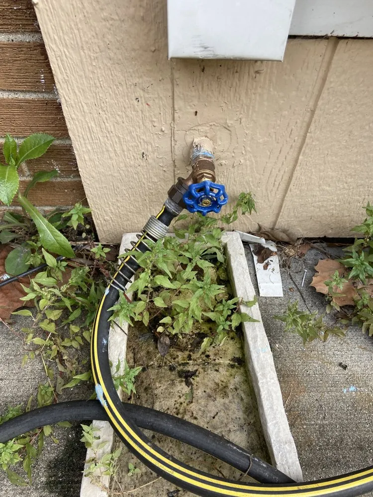 Slide of The Fair Plumber