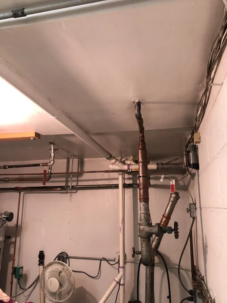 Slide of The Fair Plumber