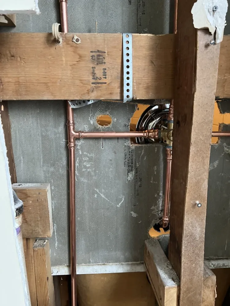 Slide of The Fair Plumber