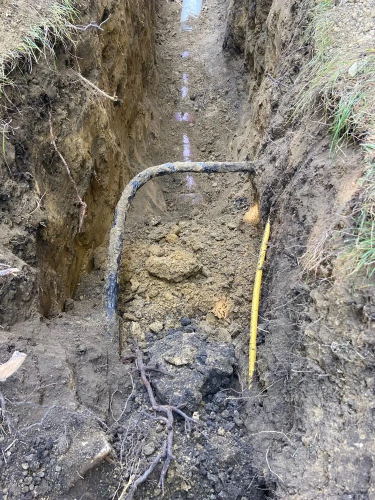 Slide of The Fair Plumber