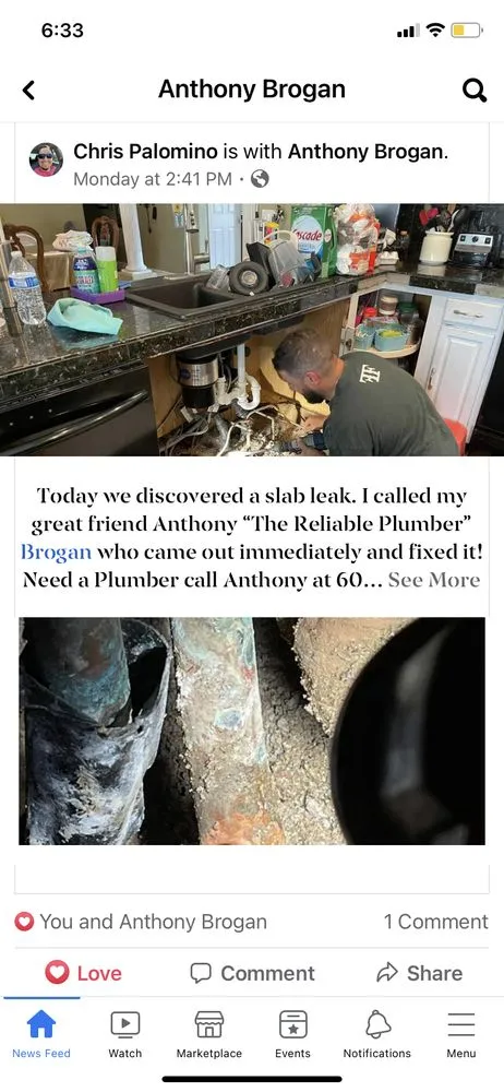 Slide of The Faithful Plumber