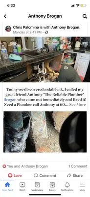 The Faithful Plumber Logo