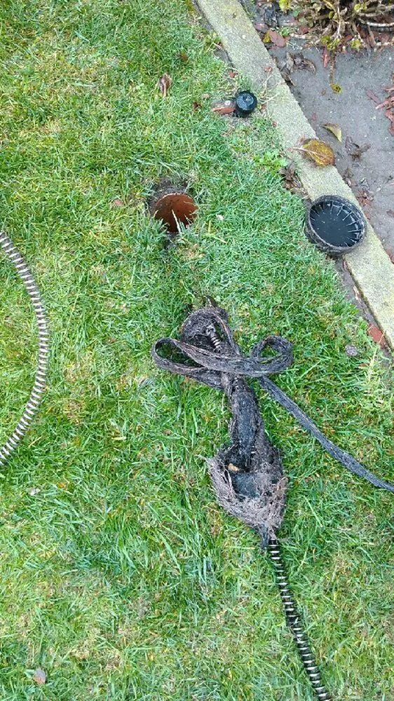 Slide of The Family Plumber