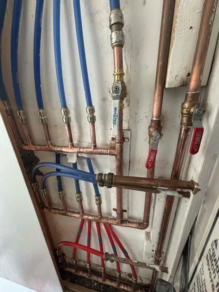 Slide of The Family Plumber