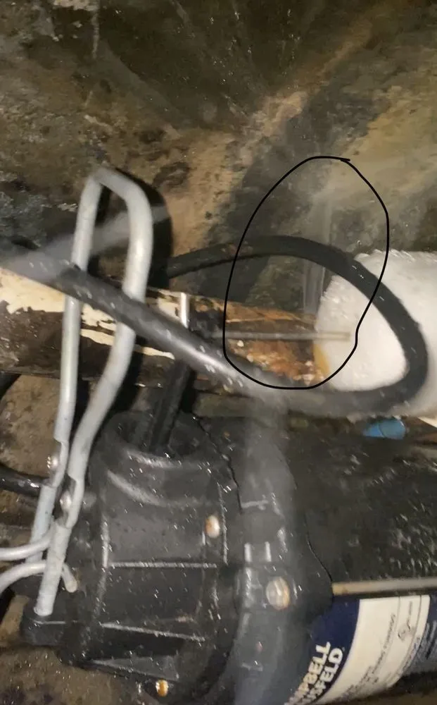 Slide of The Final Touch