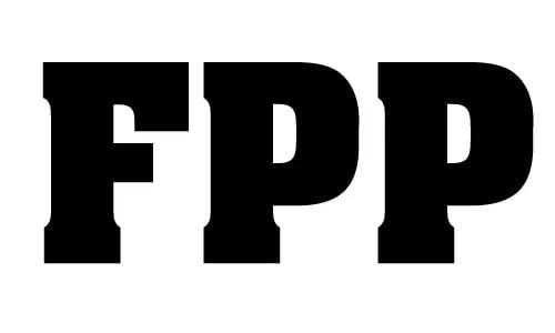 The Firm Plumbing Professional