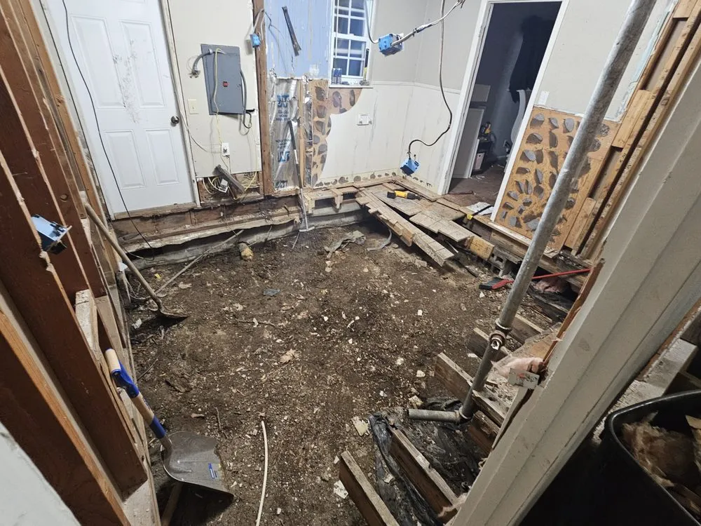 Slide of The First Response