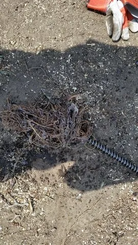 Slide of The Friendly Plumber