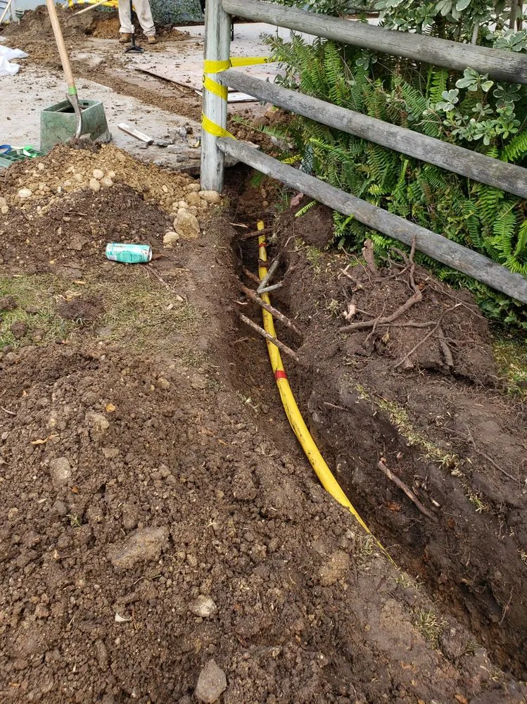 Slide of The Gas King