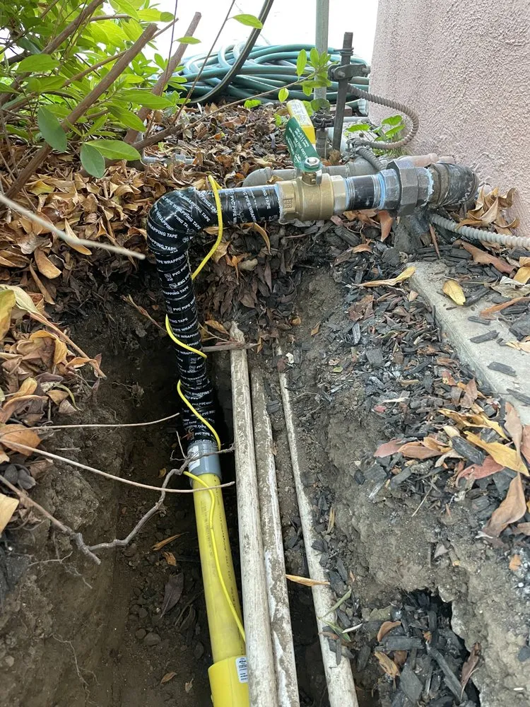 Slide of The Gas King