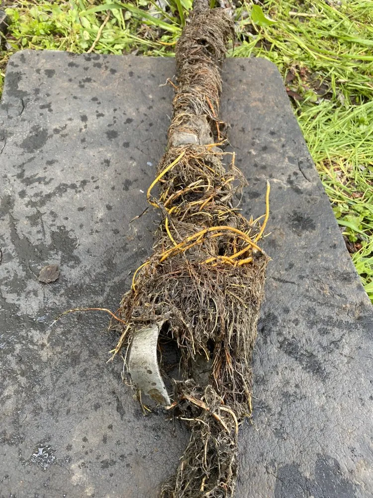 Professional emergency plumbing service in Roseburg, OR - The Go 2 Guy Waste Water Specialist