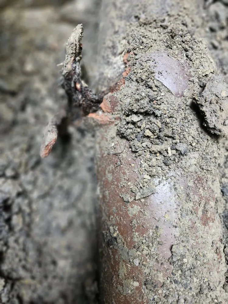 Slide of The Goat Plumbing and Sewer