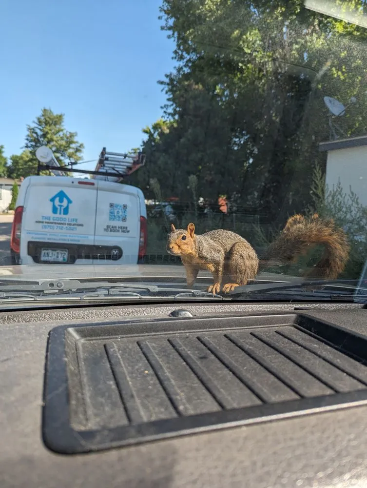 Slide of The Good Life Home Maintenance Solutions