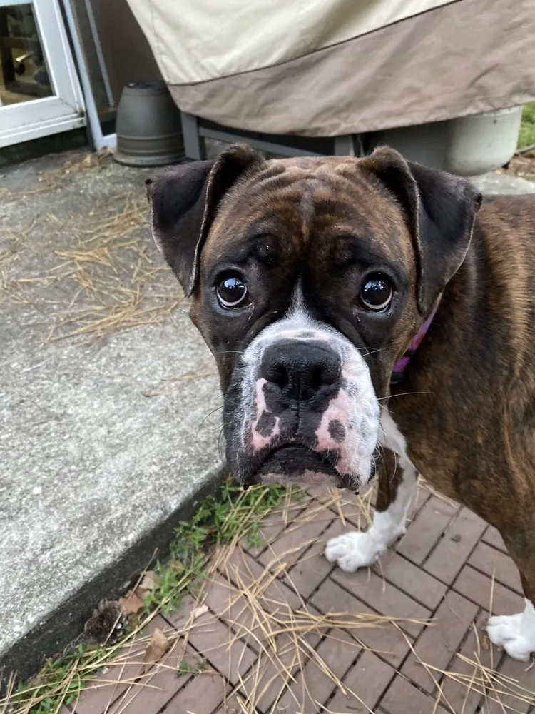 Slide of The Greatful Plumber