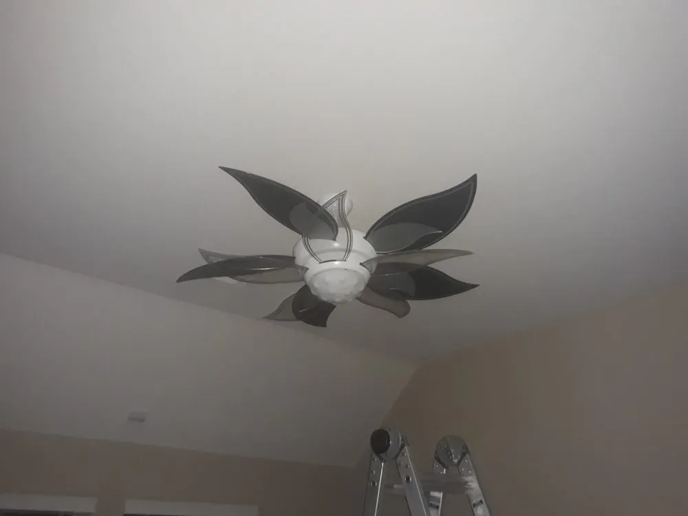 Slide of The Handley Man