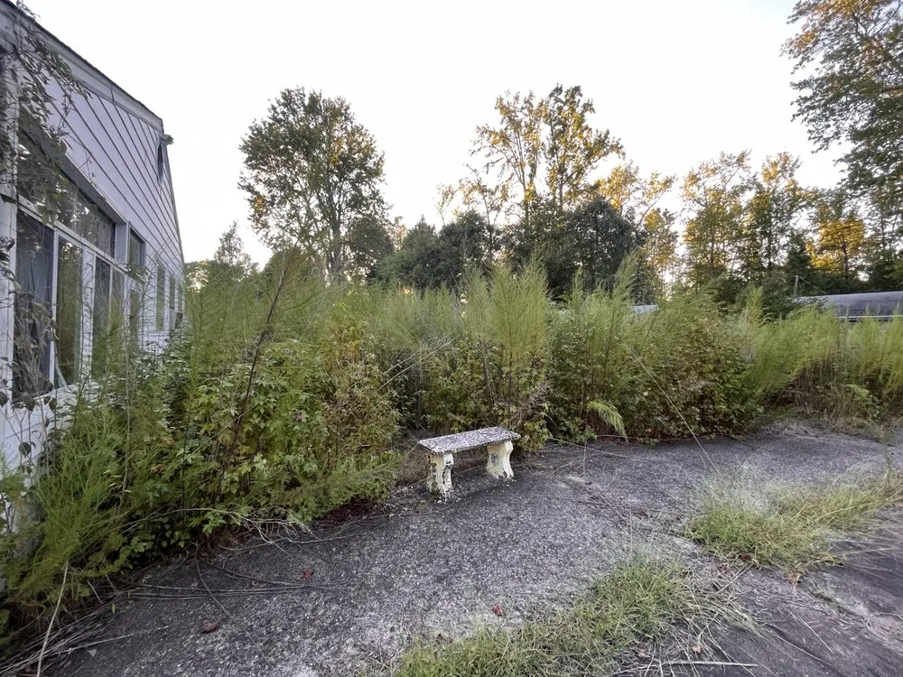 Slide of The Hands Team