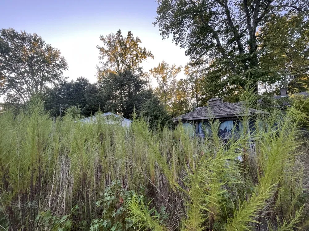 Emergency drain cleaning service in Midlothian, VA - The Hands Team