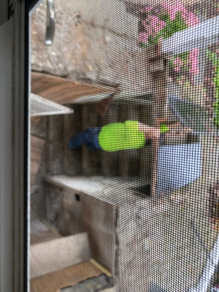 Slide of The Handy Chap