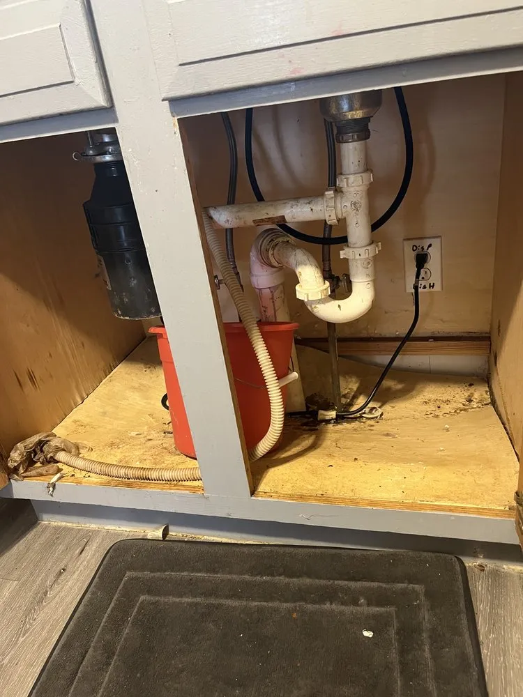 Slide of The Handy Dude