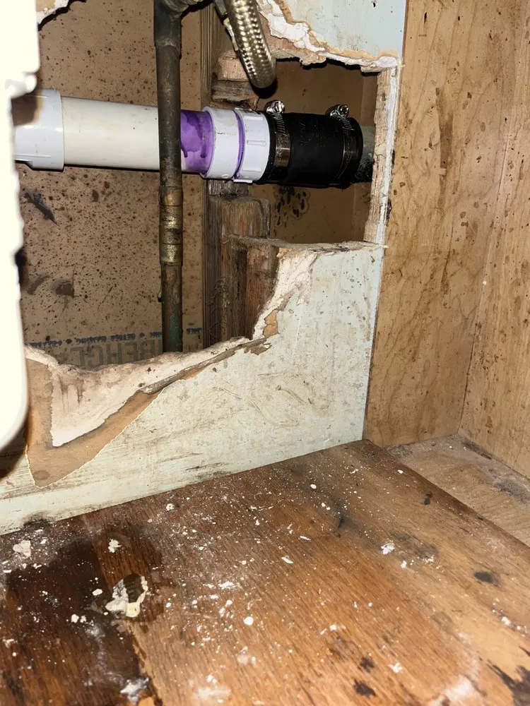 Slide of The Handy Dude