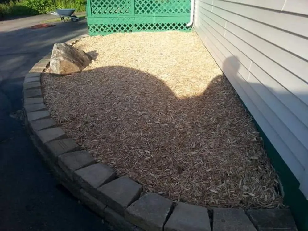 Slide of The Handy Family