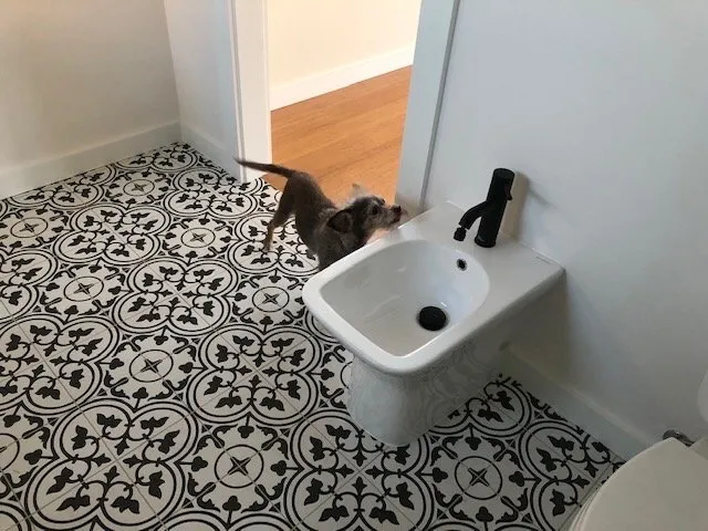 Slide of The Handy Frenchman