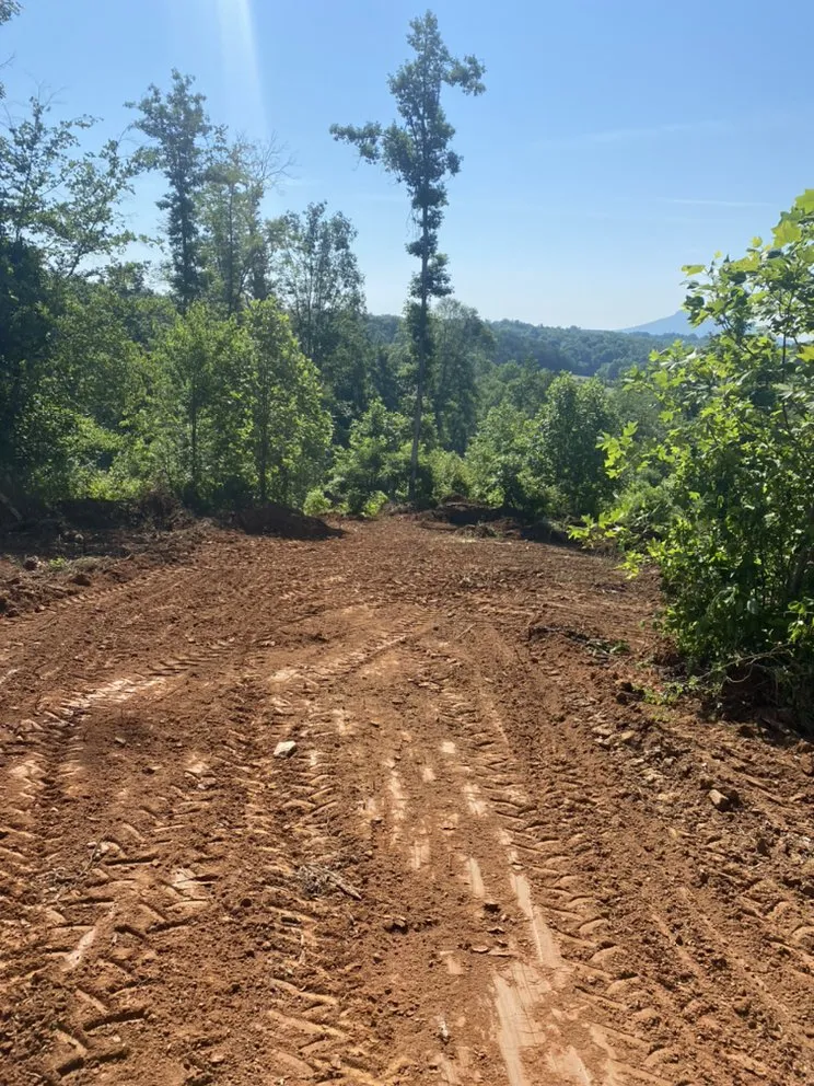 Slide of The Handy Hooker