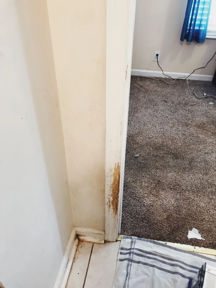 Slide of The Handy Master