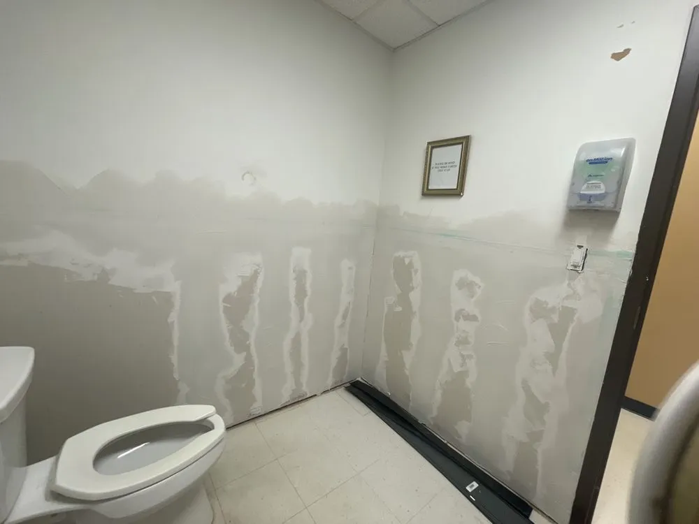 Slide of The Handy Panda