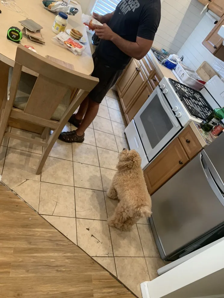 Slide of The Handy Pros