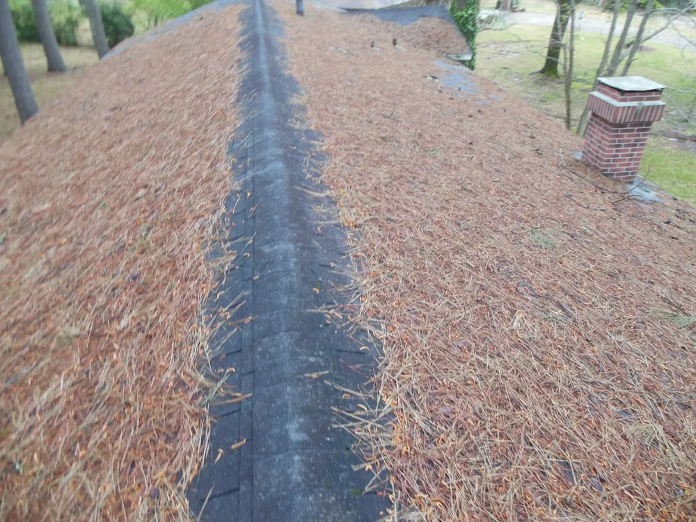 Slide of The Handyman Guy